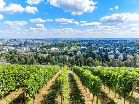 Wiesbaden, view of the city from the Nero Berg, Hesse, Germanyの写真素材