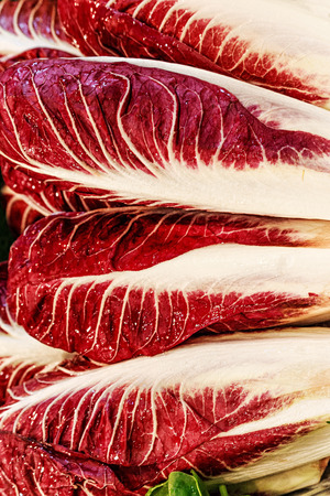 Trevise is a milder variety of radicchio, it has a slightly bitter, nutty flavor yet Which mellows When grilled, roasted or cooked slow.の写真素材