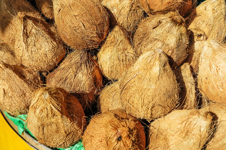 Coconutsの写真素材