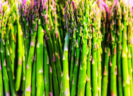 Green asparagusの写真素材