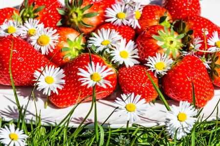 Strawberries with daisiesの写真素材