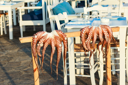 Fresh Octopus hanging on standing in front of a Seafood Restaurantの写真素材