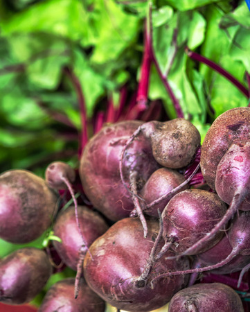 Fresh healthy beetroots