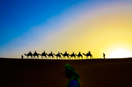 Camel caravan at Moroccan desert at sunsetの写真素材