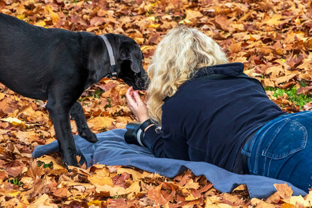A blonde young woman wearing blue jeans and blue hoodie with a black dog and a photo camera lying on...