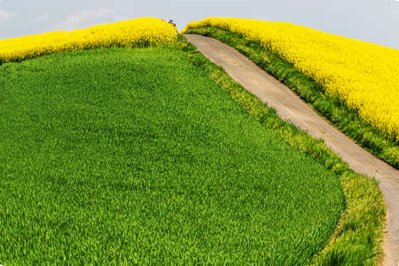 Lush green and yellow spring fields on a steep hill