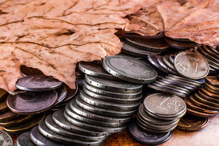 stack of coins and dry leaf backgroundの写真素材