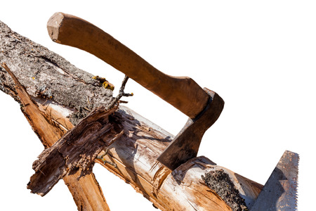 the cabin of the old dried-up tree in a garden by means of an axe and a sawの写真素材