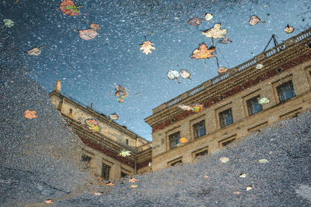 The three-layer picture - asphalt, water and a roof of the old house against the fallen-down autumn leaves.の写真素材