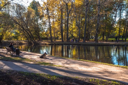 Moscow, Russia - October 16, 2015: Territory of city park of Vorontsovo. The woman and dog have a rest on a bench.のeditorial素材