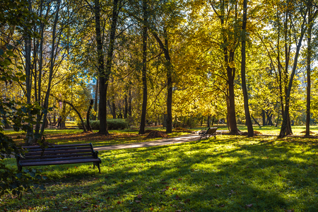 Indian summer in autumn park - the last smile of fallのeditorial素材