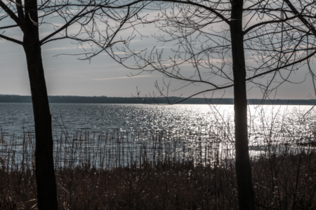 The foggy horizon and the sun in a haze on the sleepy coastの写真素材