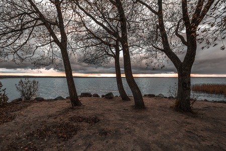 Magic dance of trees on the abandoned island at sunset in the autumn evening.の写真素材