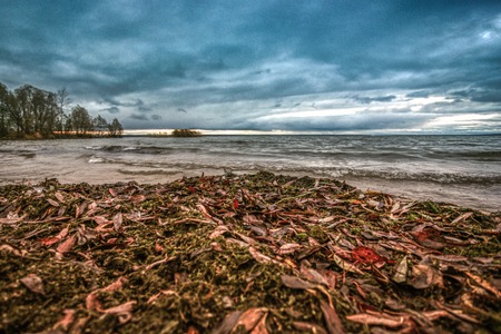 cold paints of fallの写真素材