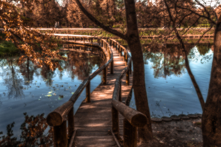romantic bridge for kissesの写真素材