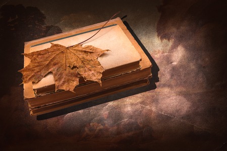charm of the old bookの写真素材