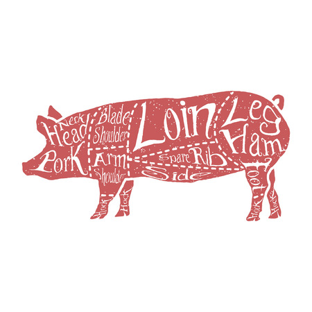 American cuts of pork, vintage typographic hand-drawn butcher cuts scheme. Vector illustration.のイラスト素材