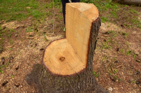 Improvised furniture logging の写真素材