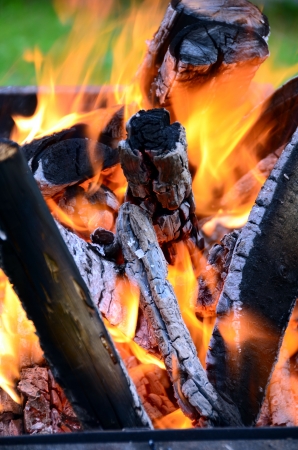 Fire - burning wood in a brazier.の写真素材