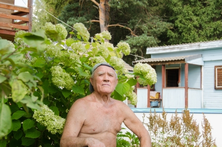 The elderly man has a rest in a garden under a hydrangea bushの写真素材