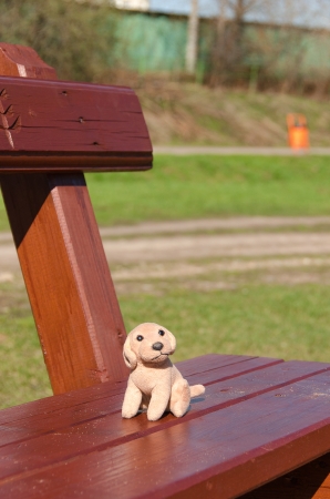 The forgotten toy on a bench of childrenの写真素材