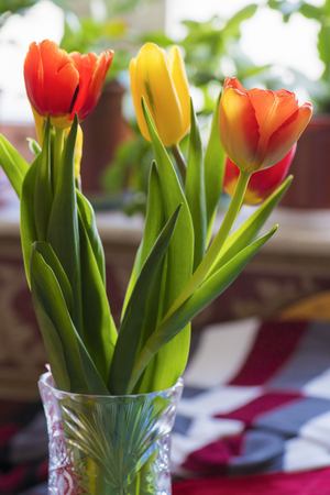 Bouquet of cut tulips of different colors on a table in a vaseの写真素材