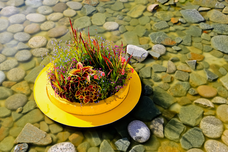 Vase with flowers is standing in a pond on a pebbleの写真素材
