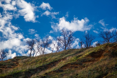 Trees grow on the edge of the mountain against a background of cloudsの写真素材