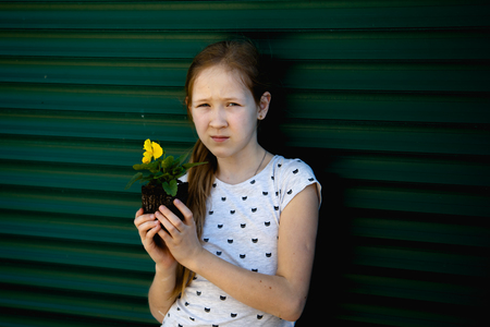 The girl is holding a yellow flower for plantingの写真素材