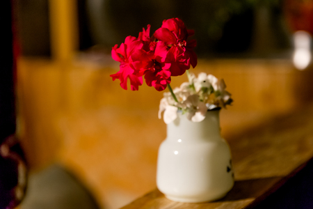 a red geranium flower is in a vaseの写真素材