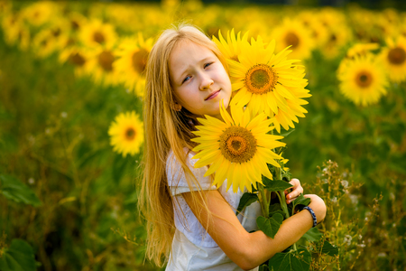 girl walking and posing in field with sunflowersの写真素材