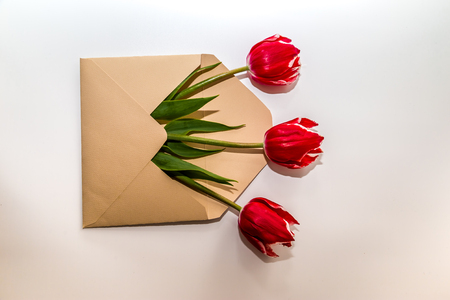 a bouquet of three red tulips lies in an envelopeの写真素材