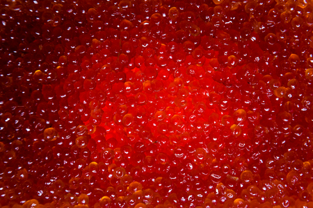 red caviar salmon in a jar on a white backgroundの写真素材