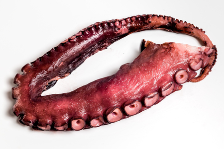 smoked octopus tentacles on a white backgroundの写真素材