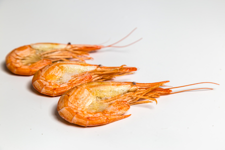 shrimp langoustine lie on a white backgroundの写真素材