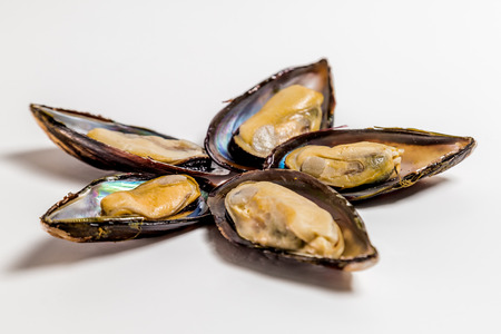 Mussels in the shell lie on a white backgroundの写真素材