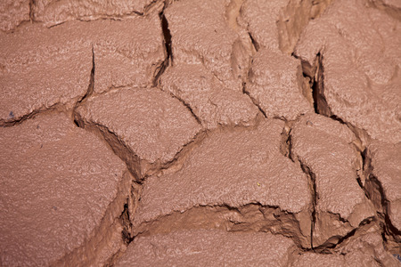 Fissured the earth arising in case of change of humidity of the earthの写真素材