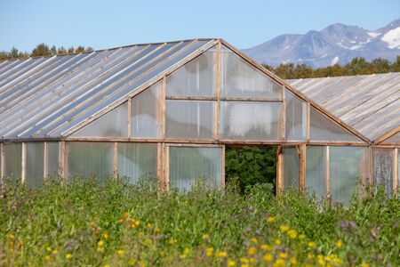 Greenhouses for growing vegetables against a rural landscapeの写真素材