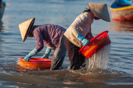 Vietnam, Mui Ne fish market, early morning, fresh seafood trading