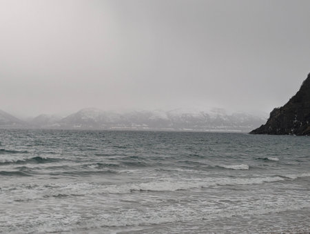 Stormy Arctic Coastline in Detail