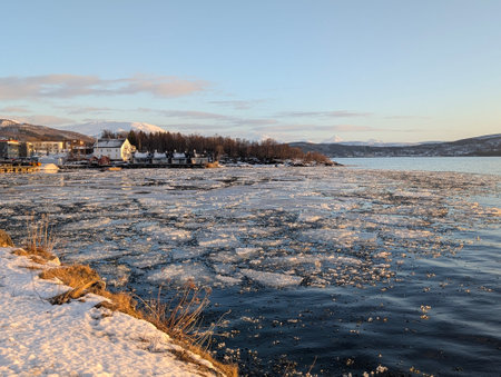 Frozen Riverbank Under Winter Sunlightの写真素材