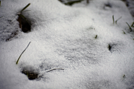 Winter photographing nature in Moscow. Photos of winter backgrounds for design.の写真素材