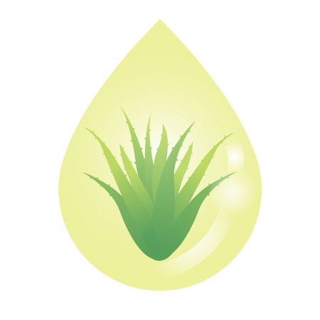 Aloe vera extract vector isolated on white background. Drop of Aloe vera oil extract with leaves of aloe plant. Organic extract, medicinal plant, oil illustration concept.のイラスト素材
