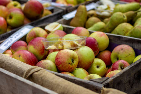 A portrait of a pile of colorful apples in a crate at a market between other fruits, with a plastic tray with tasters of delicious healthy apple slices, which serve to sell the rest of the apples.の写真素材