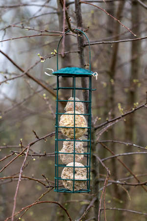 A portrait of a bird feeder in a tree during winter. It is filled with bird food which is mostly fat. The crib is used to feed small birds.の写真素材