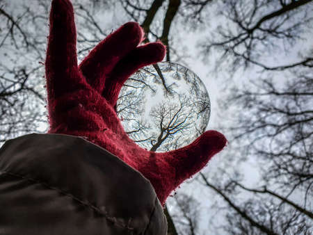 A scenic portrait of a hand with a red glove holding up a glass lens ball in a forest. The trees are being deformed and reflected inside of the ball.の写真素材