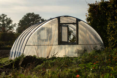 A portrait of a greenhouse to grow your own vegetables in your garden. It is made of plastic and metal tubes and has two windows in it.の写真素材