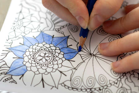 A top down portrait of a hand of a person holding a blue color pencil. The person is coloring an illustration in a coloring book for adults, trying to keep between the lines.の写真素材