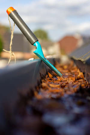 A portrait of a flower or garden shovel standing in a clogged roof gutter. It is used for the annual chore of removing the fallen autumn leaves from the gutter during or after fall.の写真素材