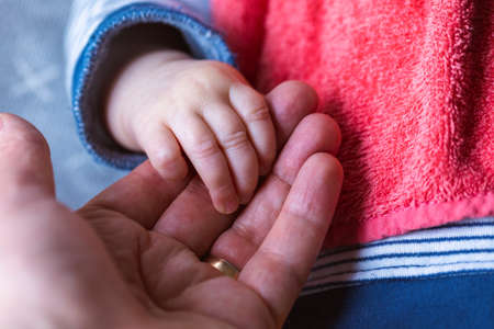 A close up portrait of the hand of a father being held by the small baby hand of his child. The little cute fingers are rapped around the fingers of the adult hand.の写真素材